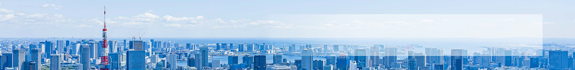 事業内容